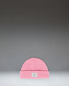 Cashmere Rose