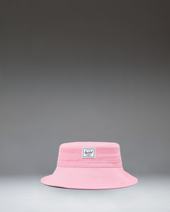 Cashmere Rose
